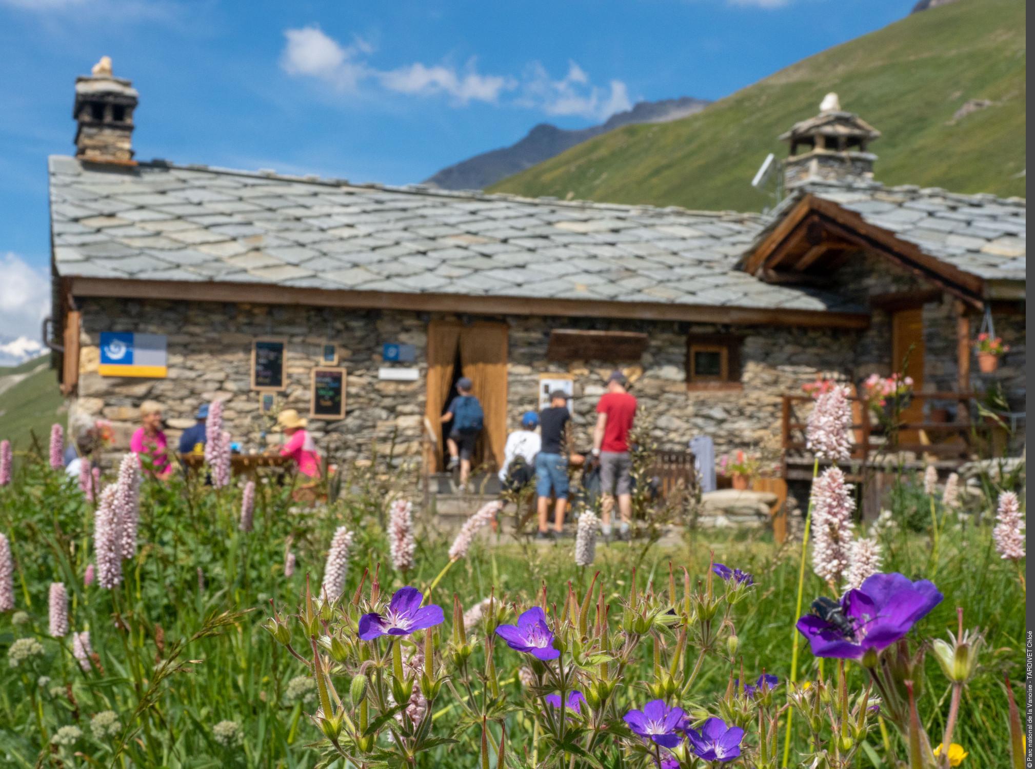 Vue fleurie sur le refuge