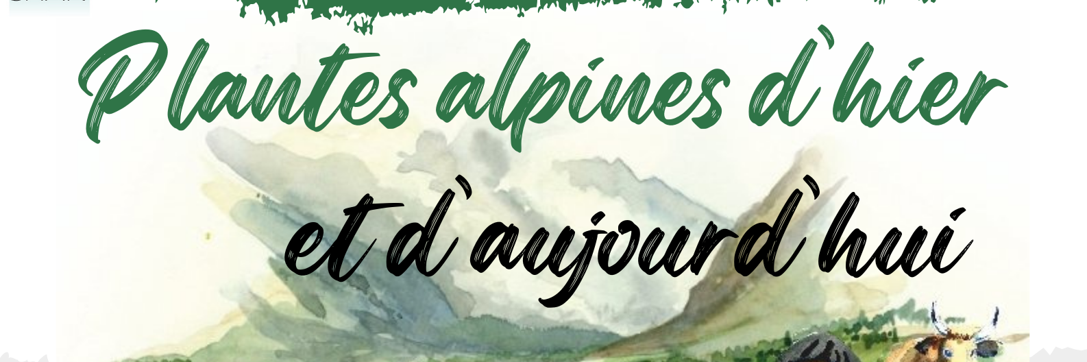 Affiche plantes alpines d'hier et d'aujourd'hui