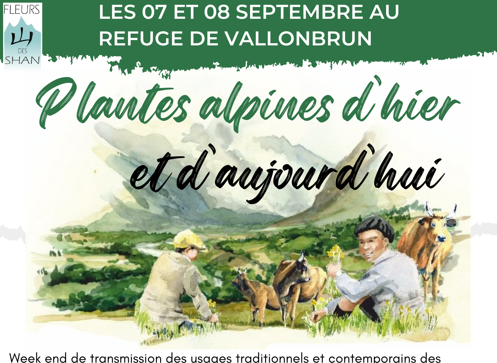 Affiche plantes alpines d'hier et d'aujourd'hui